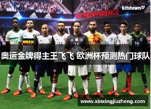 奥运金牌得主王飞飞 欧洲杯预测热门球队